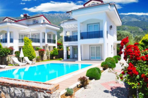 TWIN VILLA 2